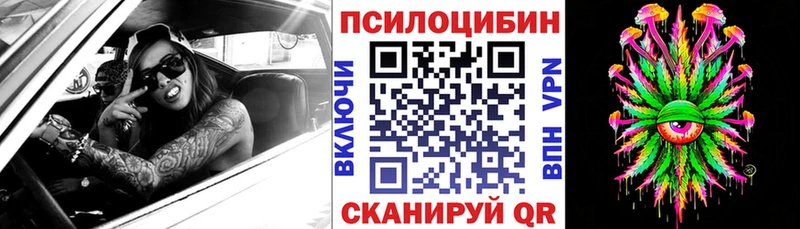Галлюциногенные грибы Psilocybine cubensis наркотики Казань