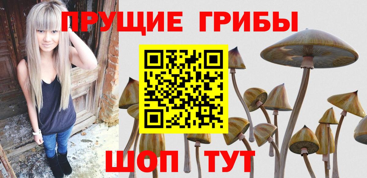 Псилоцибиновые грибы мухоморы Казань