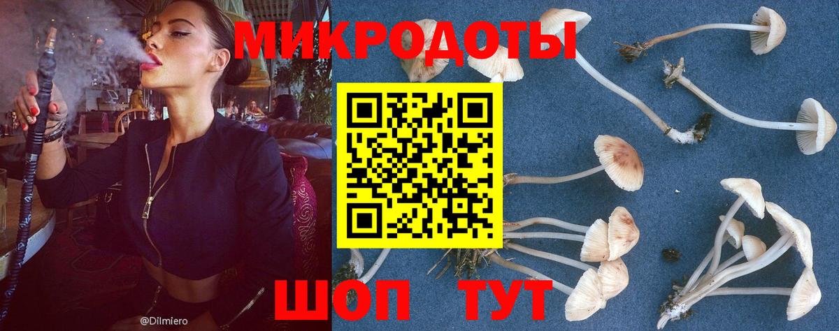 купить наркотики цена  Галлюциногенные грибы Cubensis  Вход с VPN  Казань 