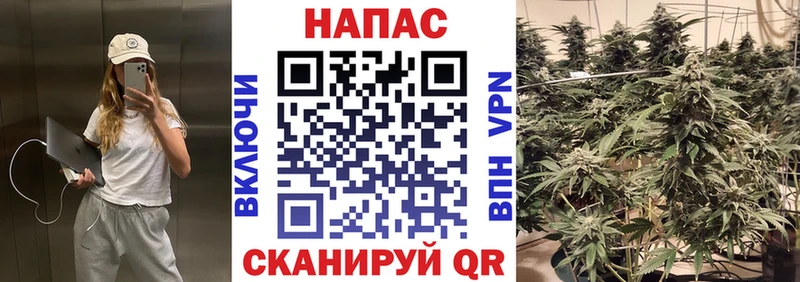 МАРИХУАНА MAZAR Казань
